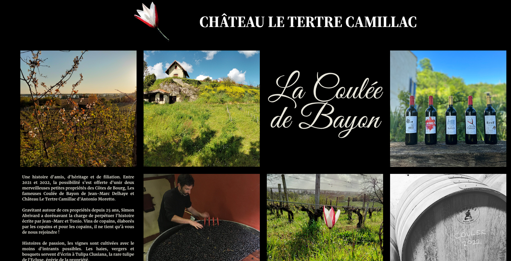 Capture d'écran du tertre camillac